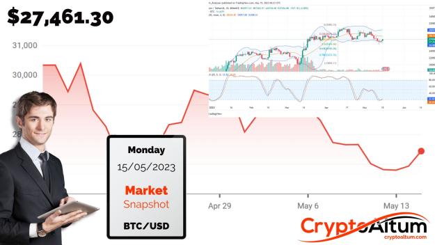 Click to Enlarge

Name: BTC-Price-Favors-Sellers.jpg
Size: 181 KB