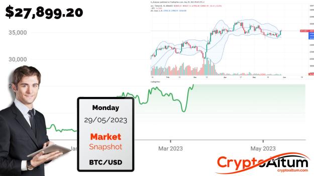 Click to Enlarge

Name: BTC-Prices-Up-8-Percent.jpg
Size: 167 KB