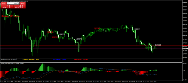 Click to Enlarge

Name: BTCUSD.aM1.png
Size: 24 KB