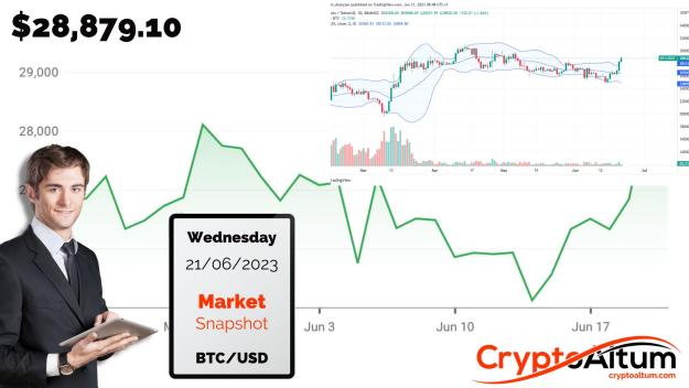 Click to Enlarge

Name: BTC-Buyers-Target-$31k.jpg
Size: 173 KB