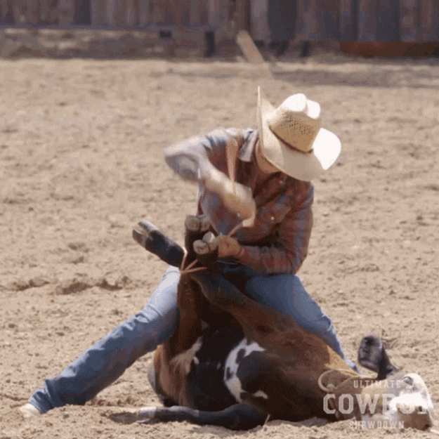 Click to Enlarge

Name: tying-cow-riding-horse.gif
Size: 4.5 MB