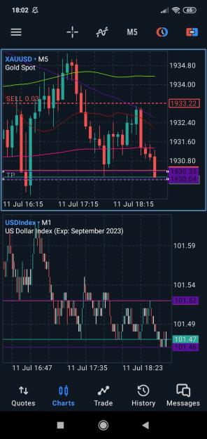 Click to Enlarge

Name: Screenshot_2023-07-11-18-02-10-434_net.metaquotes.metatrader5.jpg
Size: 542 KB