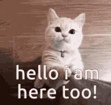Click to Enlarge

Name: cat.jpeg
Size: 6 KB