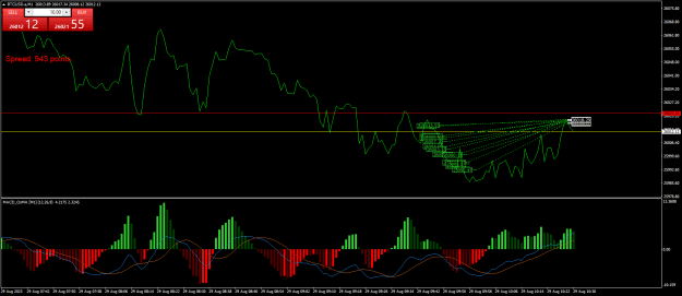 Click to Enlarge

Name: BTCUSD.aM1.png
Size: 25 KB