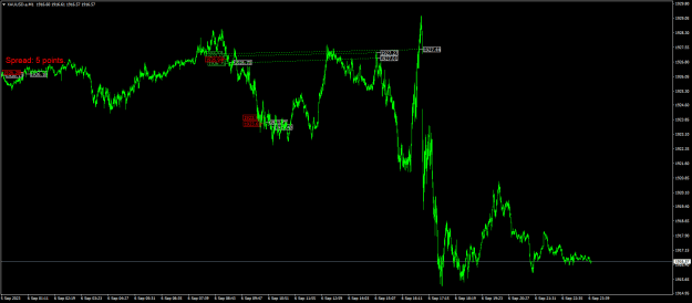 Click to Enlarge

Name: XAUUSD.aM1.png
Size: 21 KB