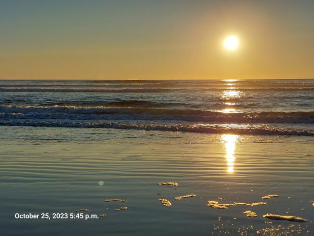 Click to Enlarge

Name: 20231025_174522.jpg
Size: 4.1 MB