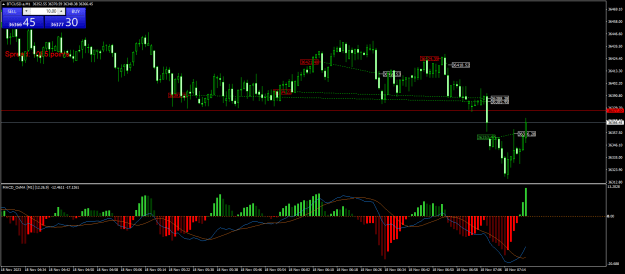 Click to Enlarge

Name: BTCUSD.aM1.png
Size: 24 KB