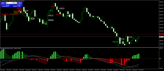 Click to Enlarge

Name: BTCUSD.aM1.png
Size: 23 KB