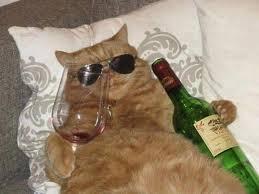 Click to Enlarge

Name: Funny-Drunk-Cat-Image.jpg
Size: 7 KB