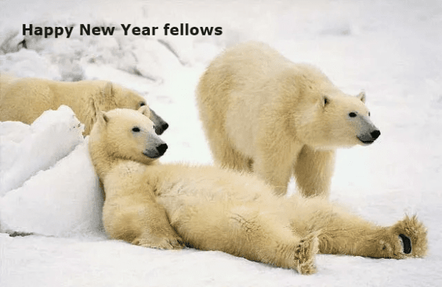 Click to Enlarge

Name: polar-bear-happy-new-year-2.png
Size: 130 KB