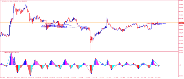 Click to Enlarge

Name: BTCUSD.aM1.png
Size: 27 KB