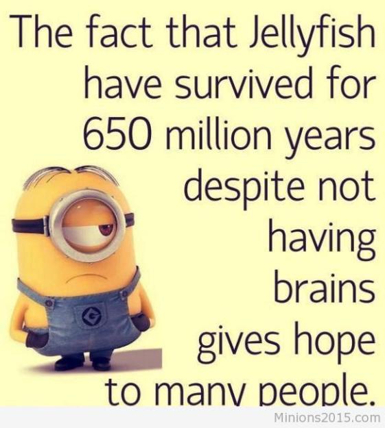 Click to Enlarge

Name: Top-30-Funny-Quotations-and-Sayings-funniest.jpg
Size: 54 KB