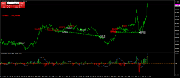 Click to Enlarge

Name: BTCUSD.aM1.png
Size: 28 KB