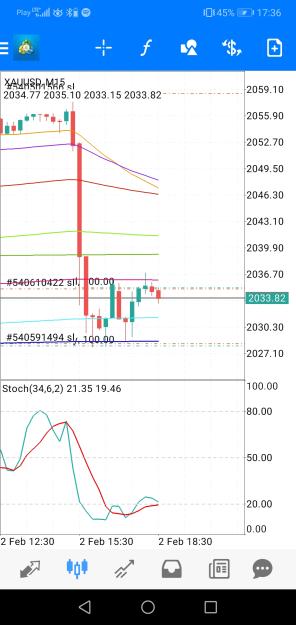 Click to Enlarge

Name: Screenshot_20240202_173618_net.metaquotes.metatrader4.jpg
Size: 566 KB