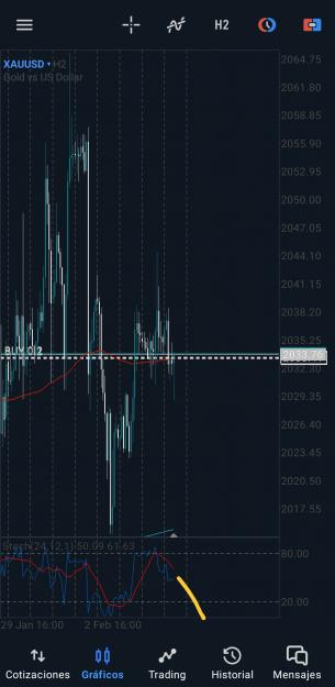 Click to Enlarge

Name: Screenshot_20240208_104931_MetaTrader 5.jpg
Size: 1.1 MB
