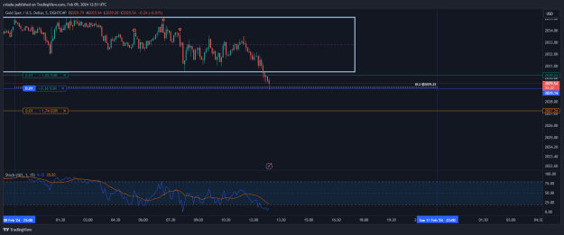 Click to Enlarge

Name: XAUUSD_2024-02-09_13-51-29.png
Size: 27 KB