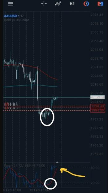 Click to Enlarge

Name: 6 gold 1.jpg
Size: 66 KB
