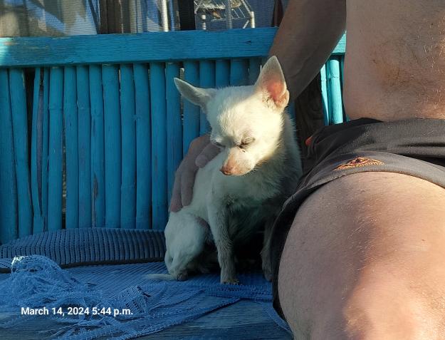 Click to Enlarge

Name: 20240321_204104.jpg
Size: 1.4 MB