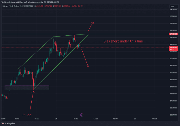 Click to Enlarge

Name: BTCUSD_2024-03-25_14-45-26.png
Size: 35 KB