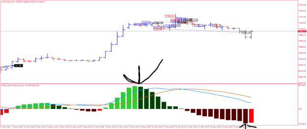 Click to Enlarge

Name: BTCUSD.aM5.png
Size: 19 KB