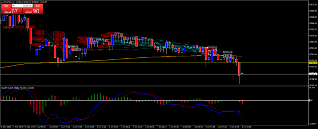 Click to Enlarge

Name: BTCUSD.aM1.png
Size: 25 KB