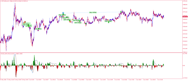 Click to Enlarge

Name: BTCUSD.aM1.png
Size: 30 KB