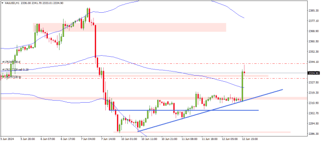 Click to Enlarge

Name: XAUUSDH1.png
Size: 14 KB