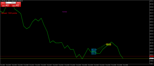 Click to Enlarge

Name: BTCUSD.aM1.png
Size: 18 KB