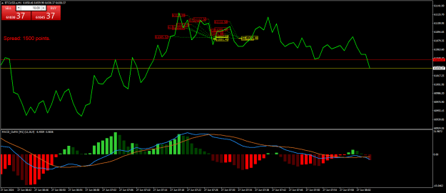 Click to Enlarge

Name: BTCUSD.aM1.png
Size: 23 KB