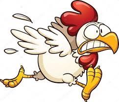 Click to Enlarge

Name: Chicken shit.jpg
Size: 20 KB