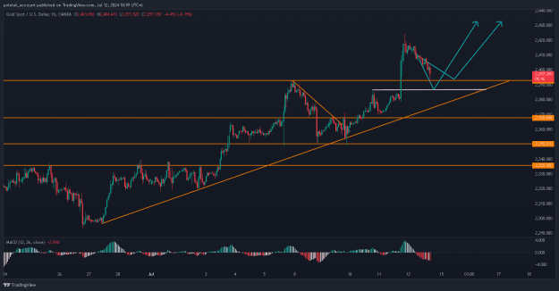 Click to Enlarge

Name: XAUUSD_2024-07-12_18-59-13.png
Size: 26 KB