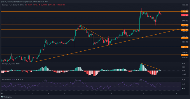 Click to Enlarge

Name: XAUUSD_2024-07-13_21-19-40.png
Size: 29 KB