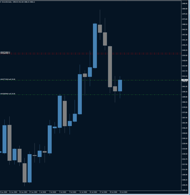Click to Enlarge

Name: xauusd 2307.png
Size: 16 KB