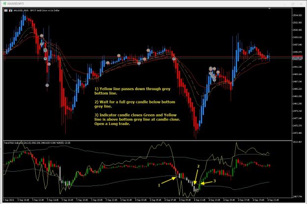 Click to Enlarge

Name: Gold-M15.jpg
Size: 447 KB