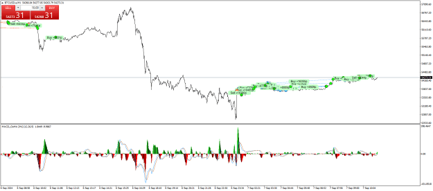 Click to Enlarge

Name: BTCUSD.aM1.png
Size: 27 KB