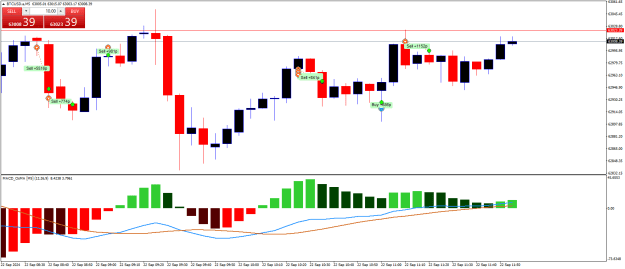 Click to Enlarge

Name: BTCUSD.aM5.png
Size: 19 KB