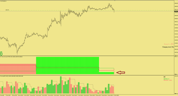 Click to Enlarge

Name: BTCUSD H1.png
Size: 22 KB