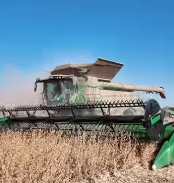 Click to Enlarge

Name: last of beans.jpg
Size: 99 KB