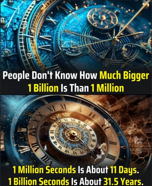 Click to Enlarge

Name: screenshot.png
Size: 660 KB