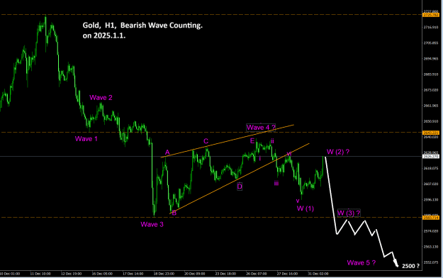 Click to Enlarge

Name: Gold H1 Bearish Wave Counting 2025-01-01.png
Size: 35 KB