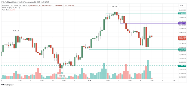 Click to Enlarge

Name: XAUUSD_2025-01-06_13-08-45.png
Size: 35 KB