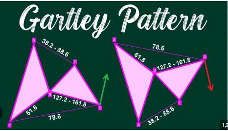 Click to Enlarge

Name: Gartley.jpg
Size: 35 KB