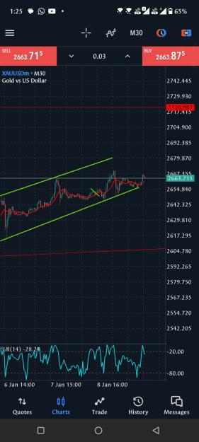 Click to Enlarge

Name: Screenshot_20250109-132536_MetaTrader_5.jpg
Size: 592 KB