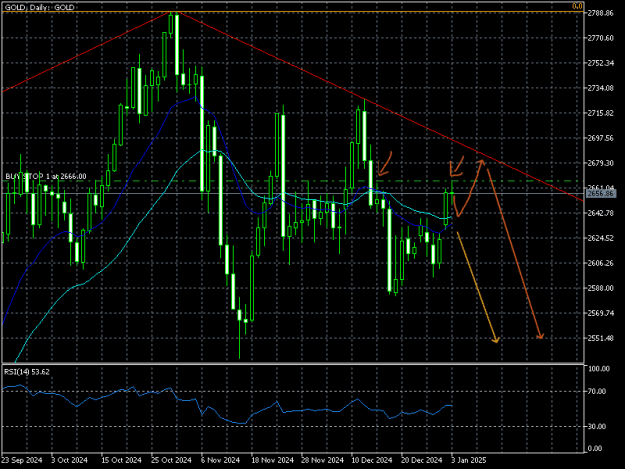Click to Enlarge

Name: GOLDDaily 03-01-2025.png
Size: 26 KB