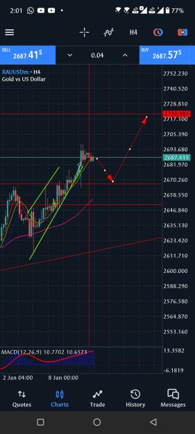 Click to Enlarge

Name: Screenshot_20250113-140149_MetaTrader_5.jpg
Size: 635 KB