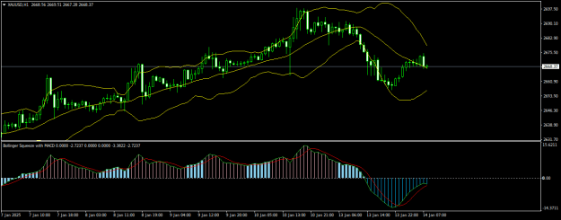 Click to Enlarge

Name: XAUUSDH1.png
Size: 17 KB