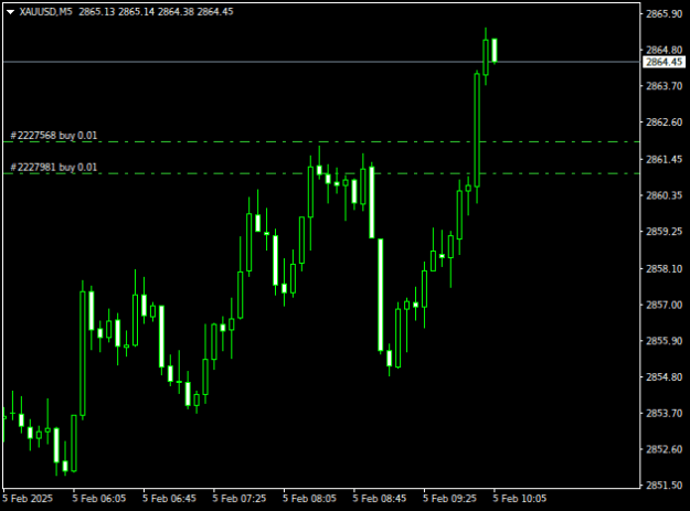 Click to Enlarge

Name: XAUUSDM5.png
Size: 7 KB