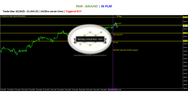 Click to Enlarge

Name: 20250131 - Signal10-25 triggered BUY 20250131.png
Size: 48 KB