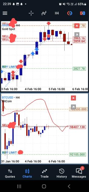 Click to Enlarge

Name: Screenshot_20250206_223918_MetaTrader 5~2.jpg
Size: 298 KB