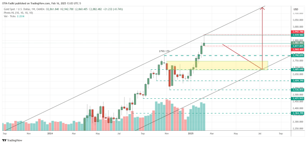 Click to Enlarge

Name: XAUUSD_2025-02-16_13-03-40.png
Size: 43 KB